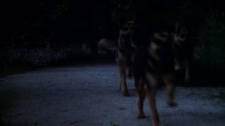 Dracula Movie Trailer