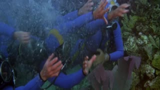 Licence to Kill Movie Teaser