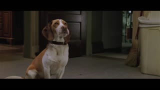 Underdog Movie Trailer