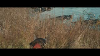 Survival of the Dead Movie Trailer