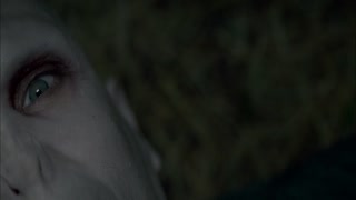 Harry Potter and the Deathly Hallows: Part 2 Movie Trailer