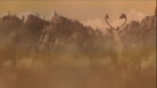 Alpha and Omega Movie Trailer