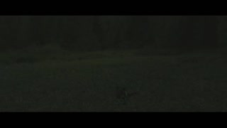 The Twilight Saga: Eclipse Movie Trailer
