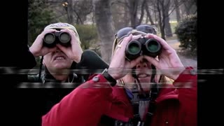 The Legend of Pale Male Movie Trailer