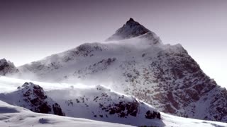 Penguins Movie Trailer 2