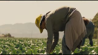 McFarland, USA Movie Trailer 2