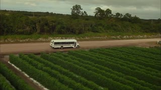 Food Chains Movie Trailer
