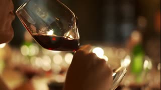Somm Movie Trailer