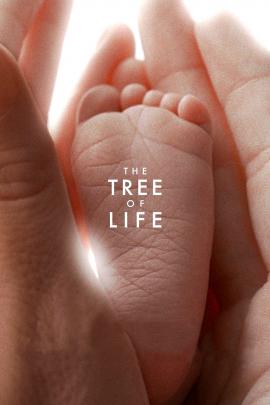 The Tree of Life 2011 movie poster
