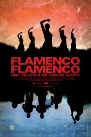 Flamenco, Flamenco 2010 movie poster