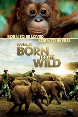 Born to Be Wild 2011 movie poster