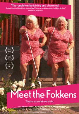 Meet the Fokkens 2011 movie poster
