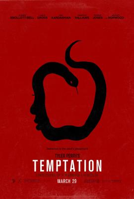 Temptation: Confessions of a Marriage Counselor 2013 movie poster