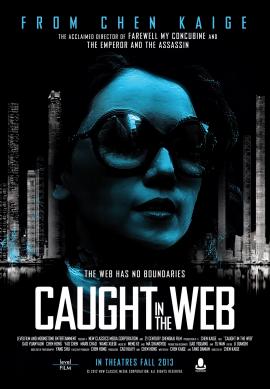 Caught in the Web 2012 movie poster