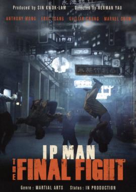 Ip Man: The Final Fight 2013 movie poster