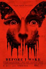 Before I Wake 2016 movie poster